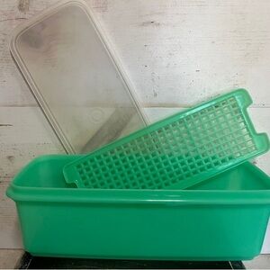 Jadeite Vintage Tupperware celery keeper Storage Container